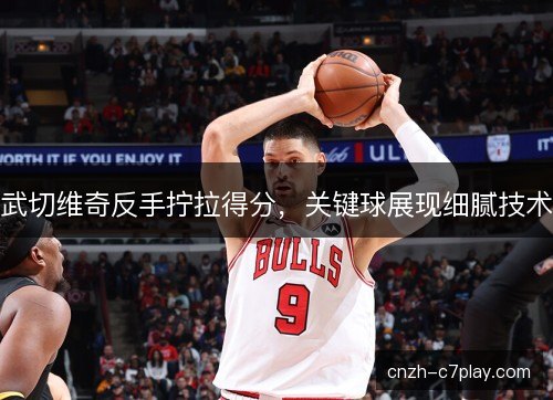 武切维奇反手拧拉得分，关键球展现细腻技术